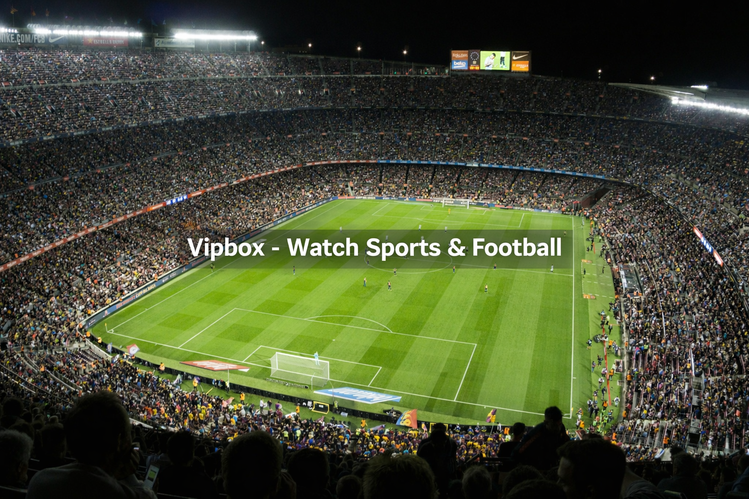 Vipbox